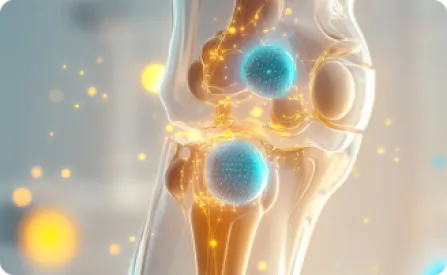 Lorem ipsum dolor sit amet