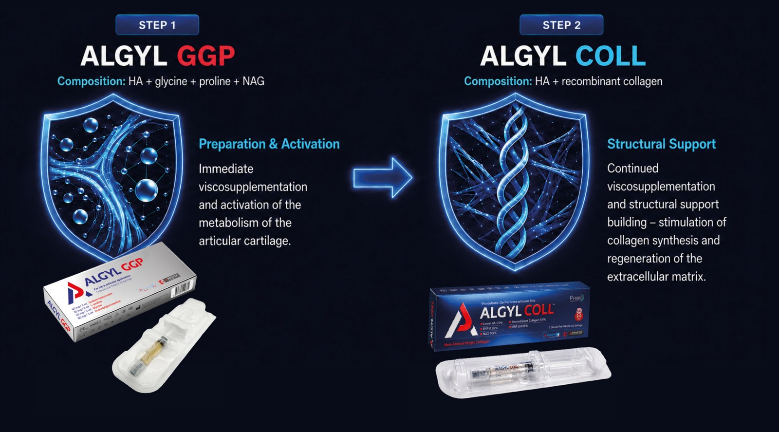 Sequential protocol – Step 1: ALGYL GGP, composition: HA + glycine + proline + NAG; Preparation & Activation: immediate viscosupplementation and activation of the metabolism of the articular cartilage. Step 2: ALGYL COLL, composition: HA + recombinant collagen; Structural Support: continued viscosupplementation and structural support building – stimulation of collagen synthesis and regeneration of the extracellular matrix.